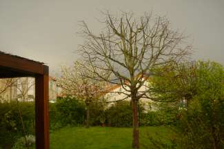 DSC00265.JPG